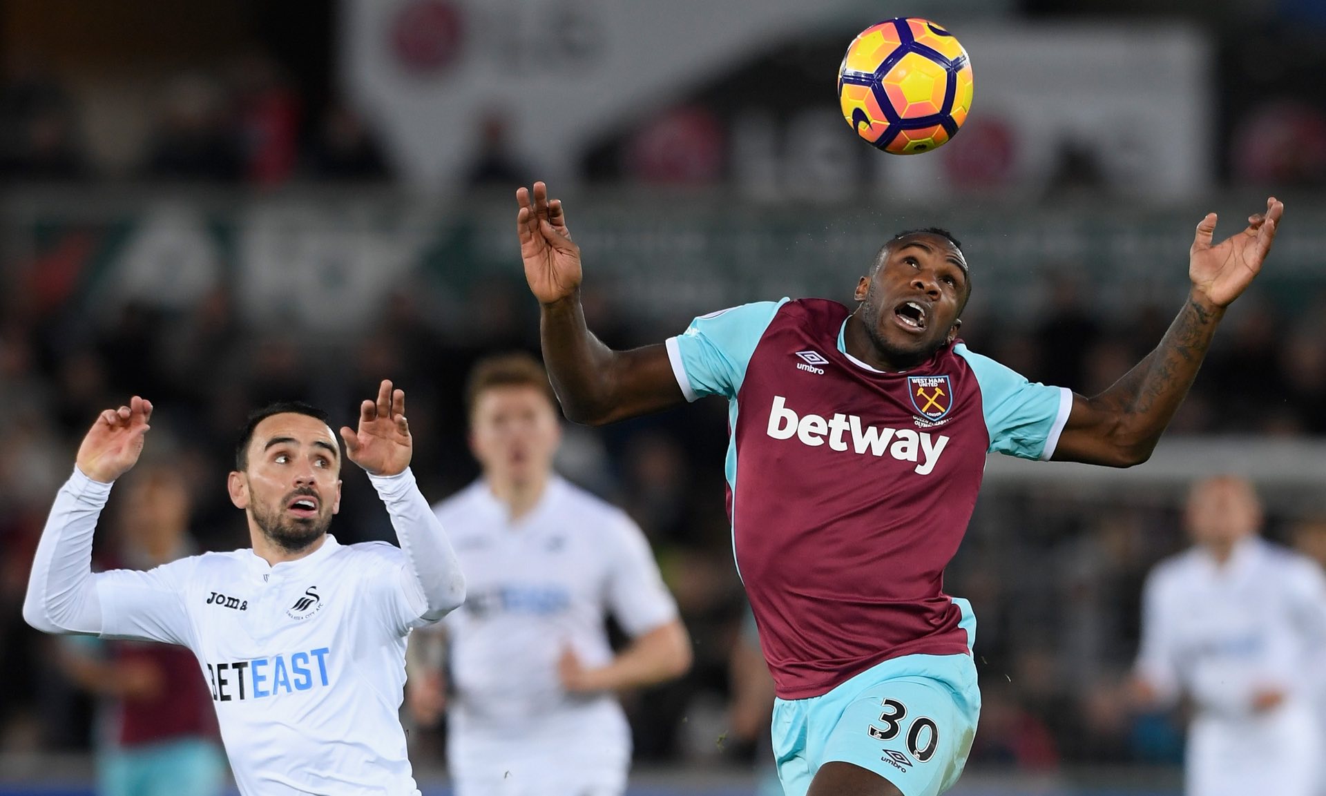 布鲁诺在曼 布鲁诺在曼